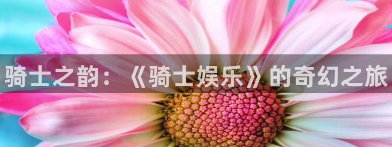 庄闲和游戏官网